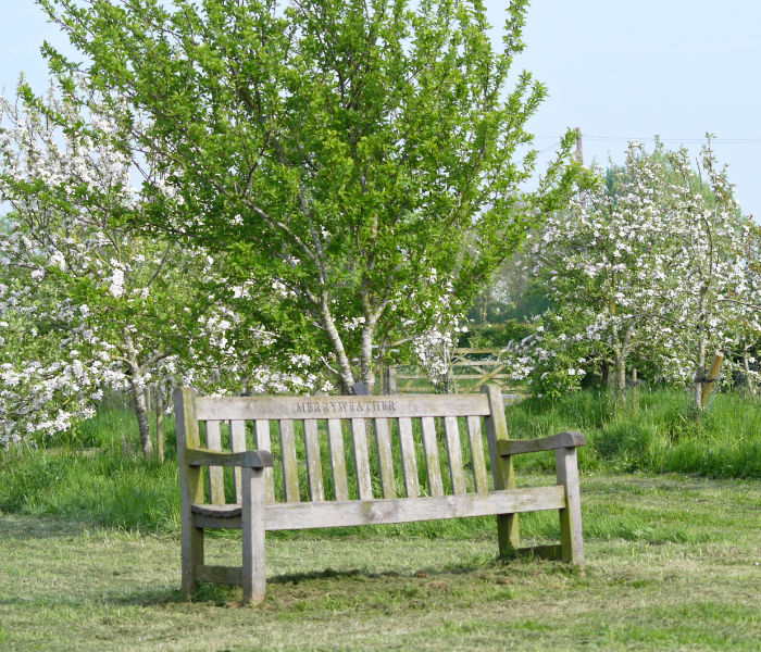 Orchard Header Image orchard bench